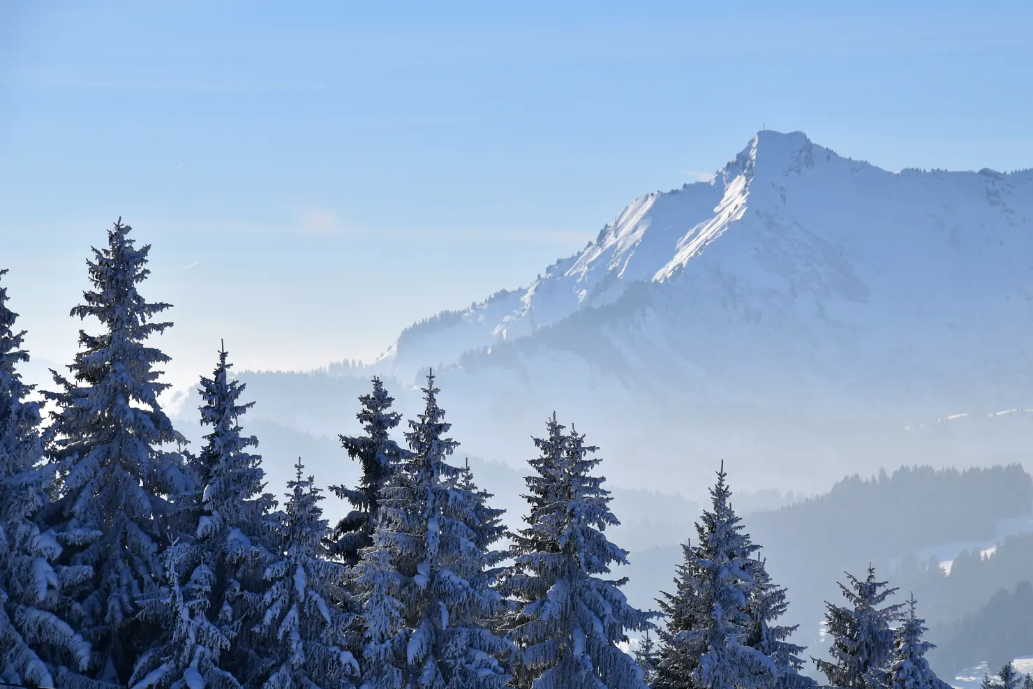 Portes-du-Soleil-mountains.webp